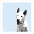 Print of Akita  on Blue by Emily Burrowes
