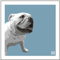 Print of British Bulldog on Blue by Emily Burrowes