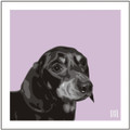 Print of a Dachshund on Lilac by Emily Burrowes