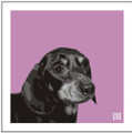 Print of a Dachshund on Pink by Emily Burrowes