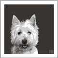 Print of a Westie on Black by Emily Burrowes