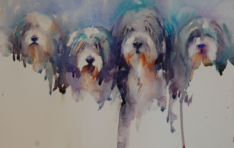 blood Counting insects our Bearded Collie Watercolour Painting by Jean Haines