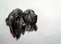 The Detectives - Bloodhound Head Study by Maud Earl