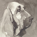   Bloodhound II by Ian Mason