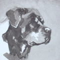   Rottweiler II by Ian Mason