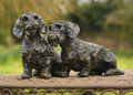 Pair of  Wirehaired Dachshund Sculptures by Rosemary Cook