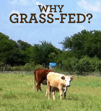 Why_grass_fed?
