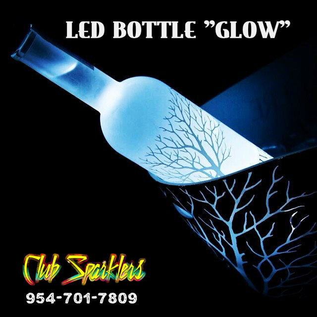 LED MINI BOTTLE GLOW - BOTTLE BRIGHT DISPLAY GLORIFIER - COLORS