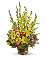 Vivid Recolections by Teleflora