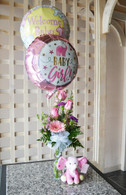 Welcome Baby Girl Package