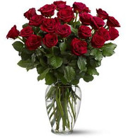 Two Dozen  Red Roses