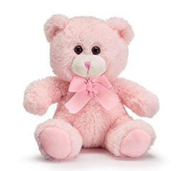 Pink small shop teddy bear