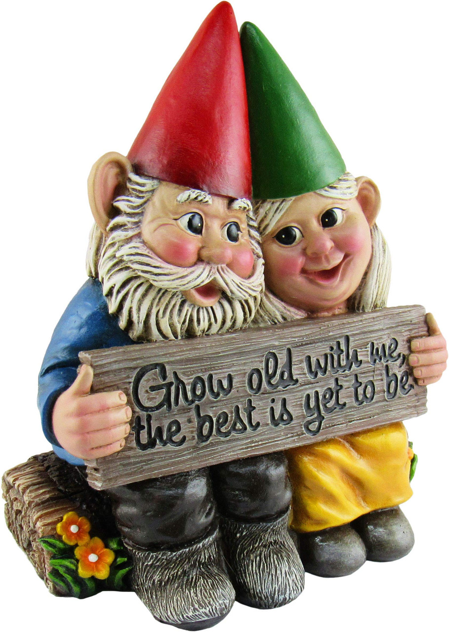 DWK 5.75" Growing Old Together Garden Gnome Couple in Love Best Friends 