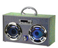 Mini Boombox with LED Speakers Retro Bluetooth Speaker w/Enhanced FM Radio - Perfect for Home and Outdoor (Iridescent Bling)