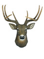 The Duke Deer Head DWK