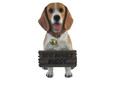 DWK Front Porch Dog Outdoor Welcome Sign Decorative Statue | Cute Dog Welcome Sign for Front Porch Standing | Decorative Garden Statues - Beagle