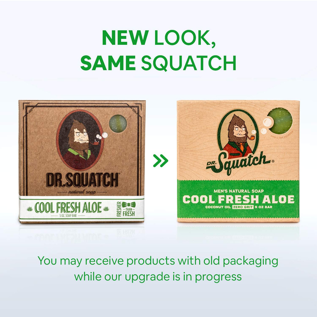 Dr. Squatch All Natural Bar Soap for Men with Zero Grit, Cool Fresh Aloe