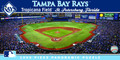 MasterPieces 91427: Tampa Bay Rays 1000pc Panoramic Puzzle