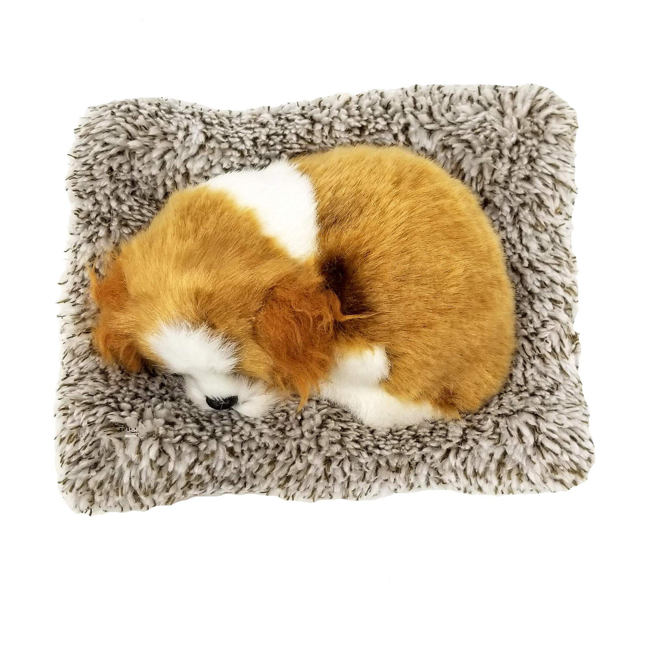 perfect petzzz cavalier king charles plush