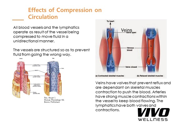 The Science Behind Pneumatic Compression Therapy Work: How Does It Work?, On the Move