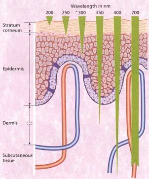 skin-73-01.jpg