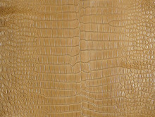 Porosus Crocodile - Carmel - Garment Grade
