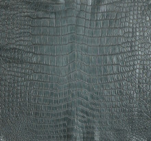 Porosus Crocodile - Grey  - Garment Grade