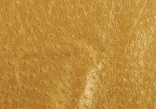 Ostrich Skin - Metallic Gold
