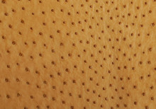 Ostrich Skin - Antique Saddle - Matte
