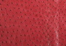 Ostrich Body - Bordeaux Burgundy - Matte