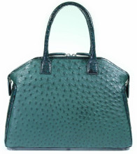 Italo - Alligator Millennium Two Tone and Ostrich in Green