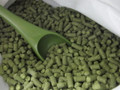 Challenger Hop Pellets (UK), 1 oz