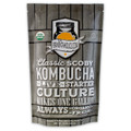 Scoby Kombucha Culture