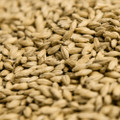 Gambrinus IPA Malt, 1 lb