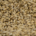 Gambrinus ESB Malt, 1 lb