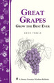 Great Grapes