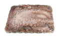 Polvo Oceano Atlantico 4-6 lbs ( Octopus of Atlantic Ocean) 