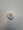 GEAR-SPUR 20P 25T D BORE