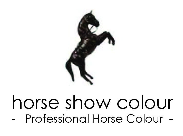 horse-show-colour-logo.jpg