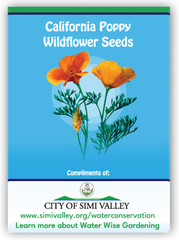 Seed Packets with Custom Logo and Text | Mixed Wildflowers