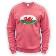 Welsh Flag Sweater
