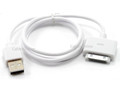 2 ft. USB A Male / Apple 30-Pin