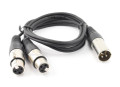 3 ft. XLR Male Stereo Plug to 2-XLR Female Y-Splitter Cable