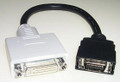 10" DVI-D Female to DFP-20 Male Adapter Cable