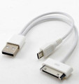 USB 2-in-1 iPod & Smartphone Charger/Sync Cable for iPhone, Droid, Blackberry, Samsung Galaxy, etc.