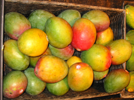 mangoes.png