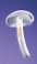 MEDTRONIC SHILEY TRACHEOSTOMY TUBES