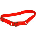 Humane Choke Collar