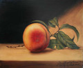 Raphael Peale Peach Reproduction - DVD