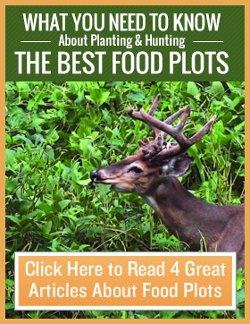 Whitetail Institute - Food Plots - Deer Food Plot Seeds - Soil Testing